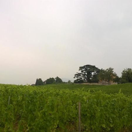 Chateau La Violette Les Marches Eksteriør bilde