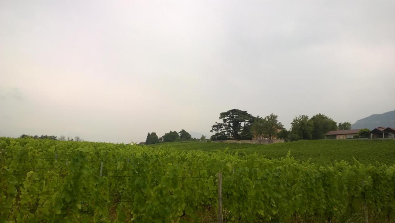 Chateau La Violette Les Marches Eksteriør bilde