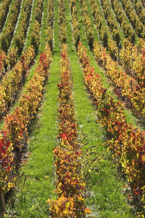 Chateau La Violette Les Marches Eksteriør bilde